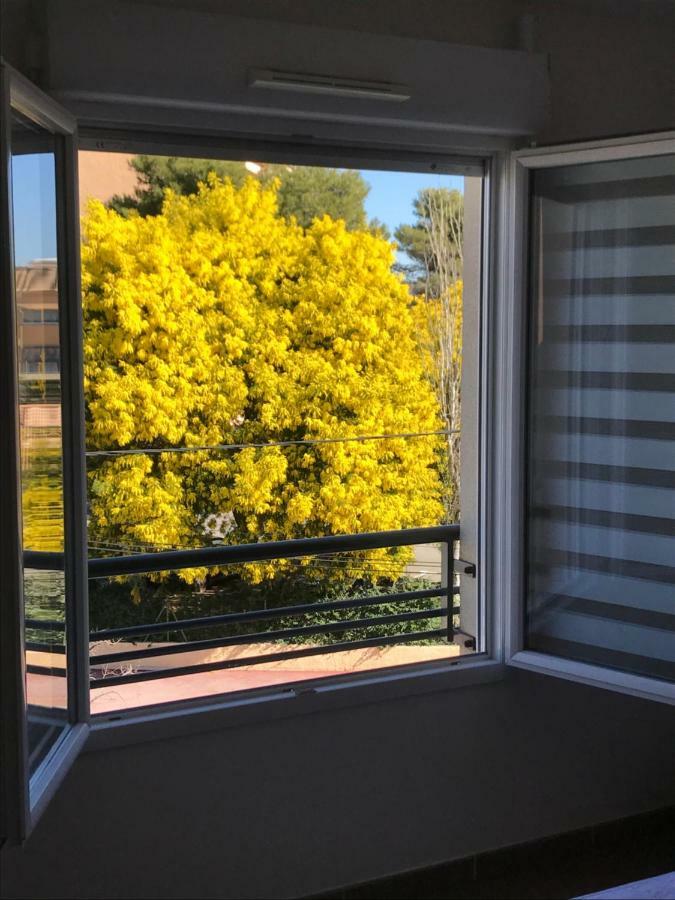 Appart' Au Port Lägenhet Fréjus Exteriör bild